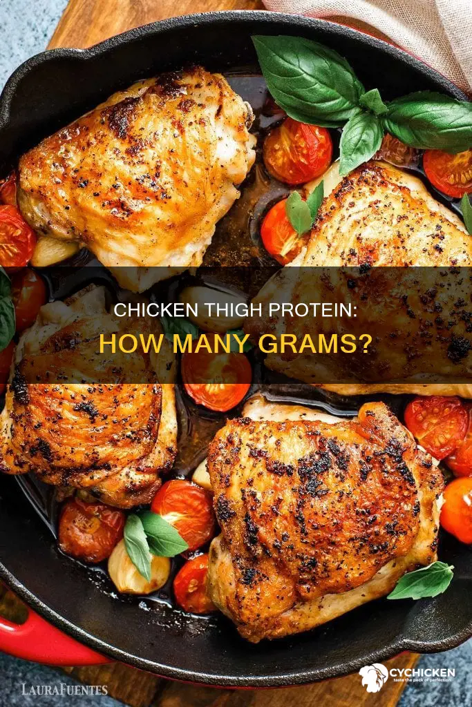 how many grams of protein is a chicken thight