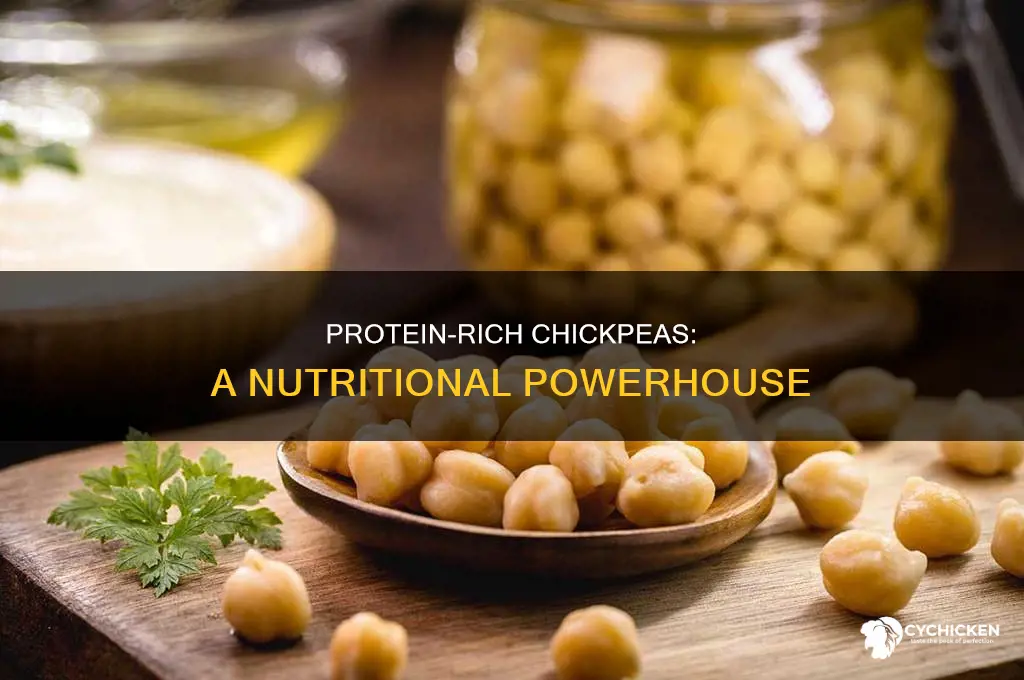 how many grams of protein is in chick