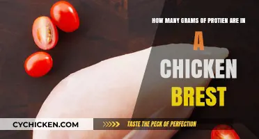 Chicken Breast Protein Content: How Many Grams?