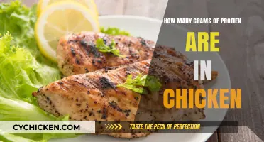 Chicken Protein Content: How Many Grams?