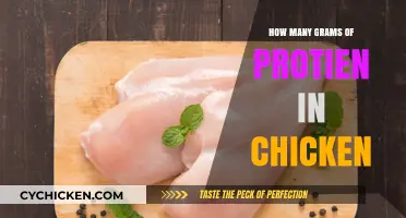 Protein Power: How Much Protein is in Chicken?