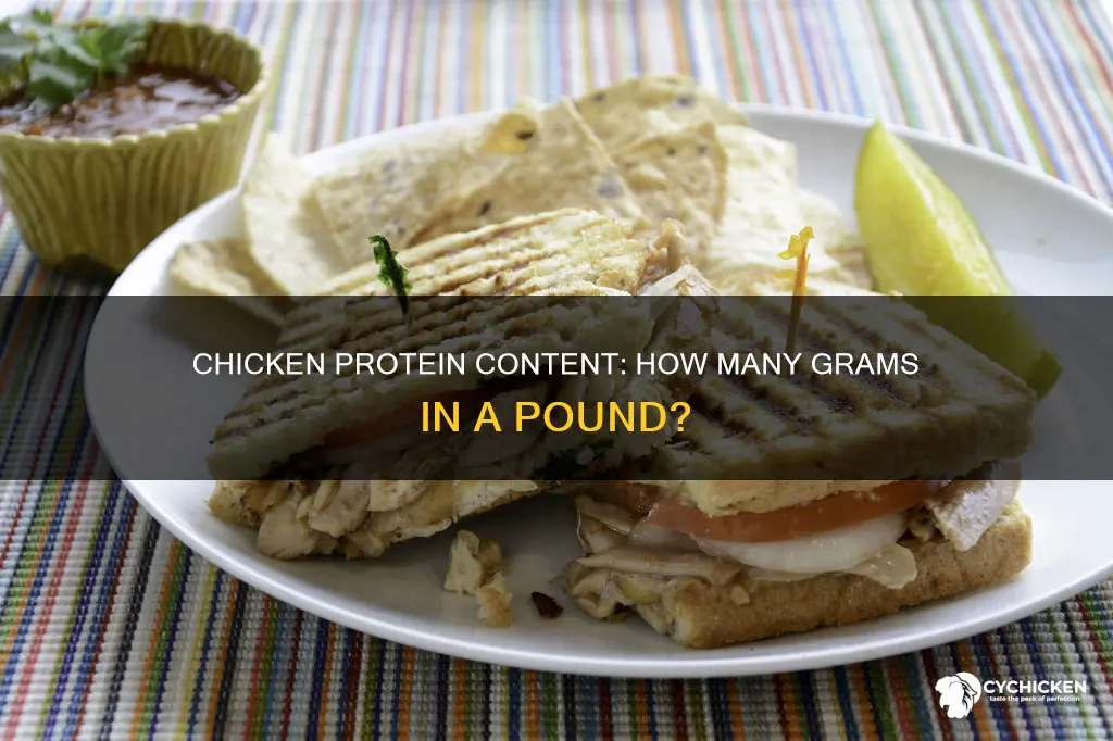 how many grams of protien is 1 pund of chicken