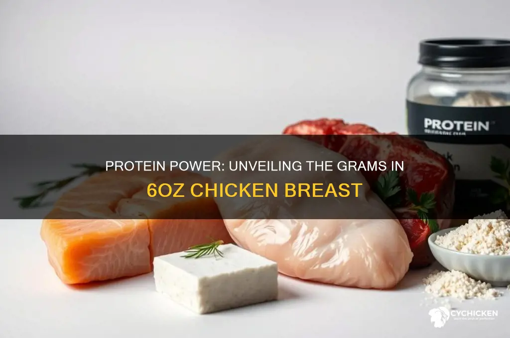 how many grams protein in 6oz chicken