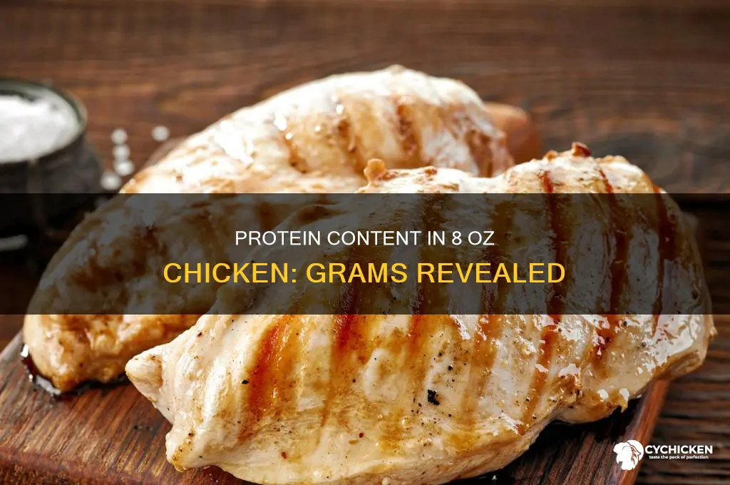 how many grams protein in 8 oz chicken