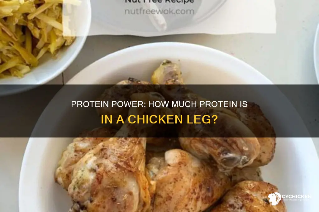 how many grams protein in chicken leg