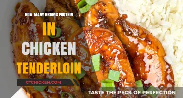 Protein Power: How Much is in Chicken Tenderloin?