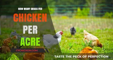 Sustainable Pasture Management: Grass-Fed Chicken Stocking Rates per Acre
