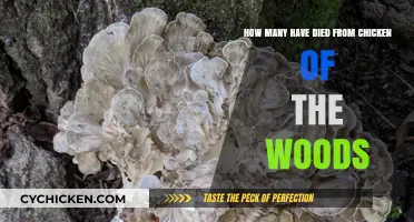 Chicken of the Woods: A Deadly Delicacy?
