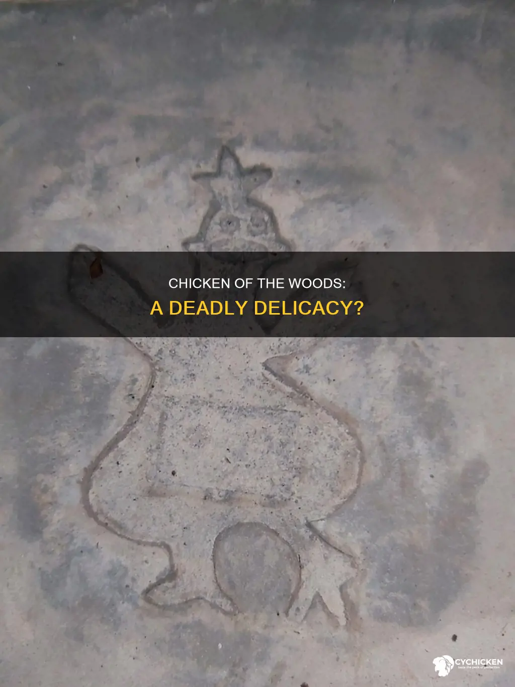 how many have died from chicken of the woods