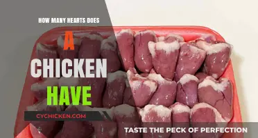 Unveiling the Truth: How Many Hearts Does a Chicken Possess?
