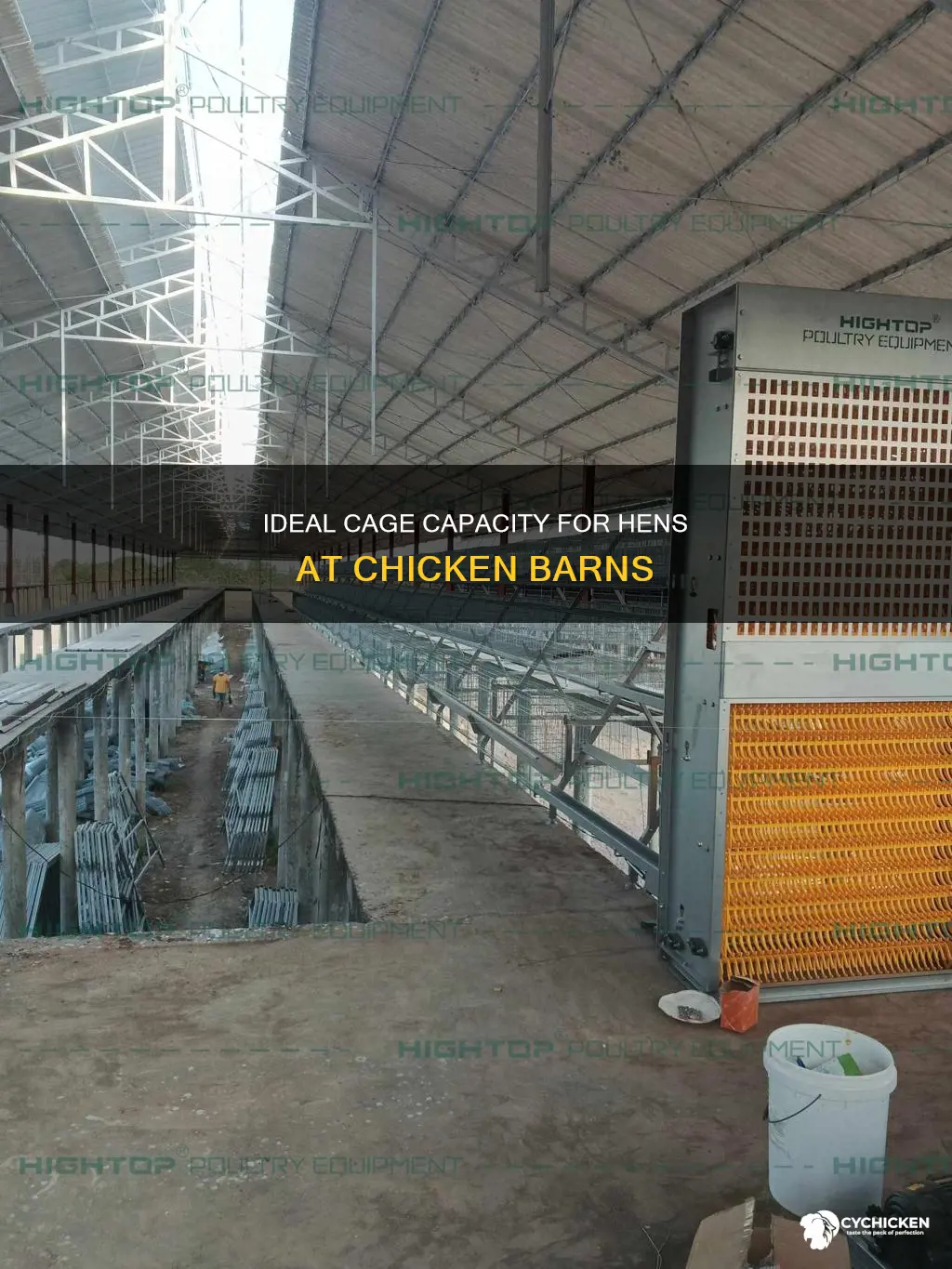 how many hens are in one cage at chicken barn