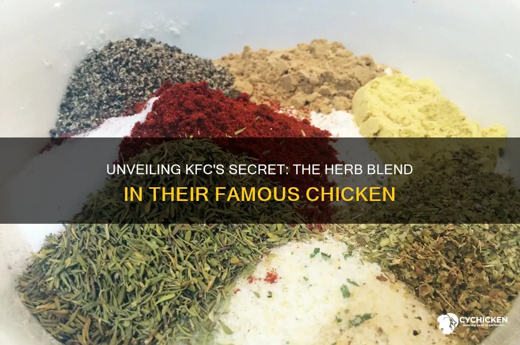 how many herb does kfc chicken have