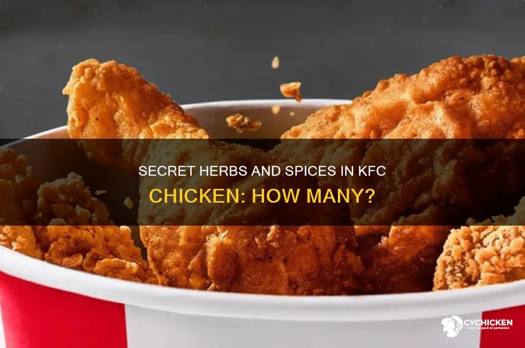 how many herbs and spices in kfc chicken