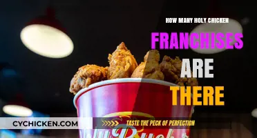 Exploring the Global Presence of Holy Chicken Franchise Locations