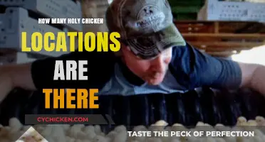 Discovering the Total Number of Holy Chicken Locations Nationwide