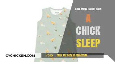 Understanding Chick Sleep Patterns: How Many Hours Do They Rest?