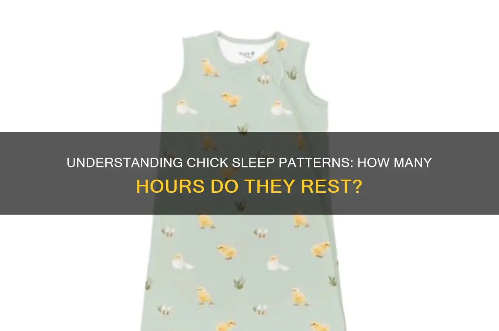 how many hours does a chick sleep