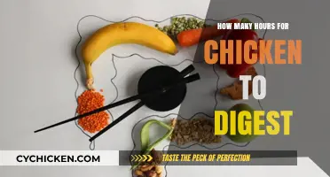 Understanding Chicken Digestion: How Long Does It Take to Digest?