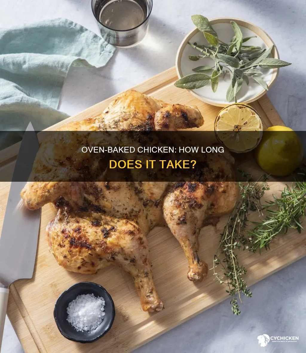 how many hours in a over for 6 pd chicken