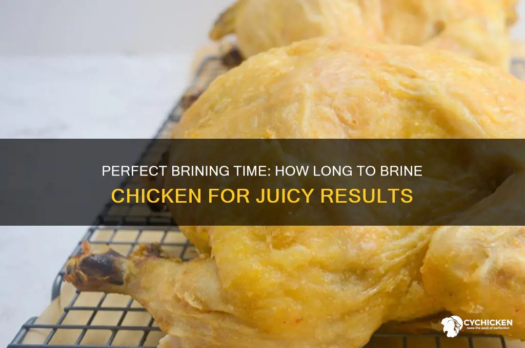 how many hours to brine a chicken
