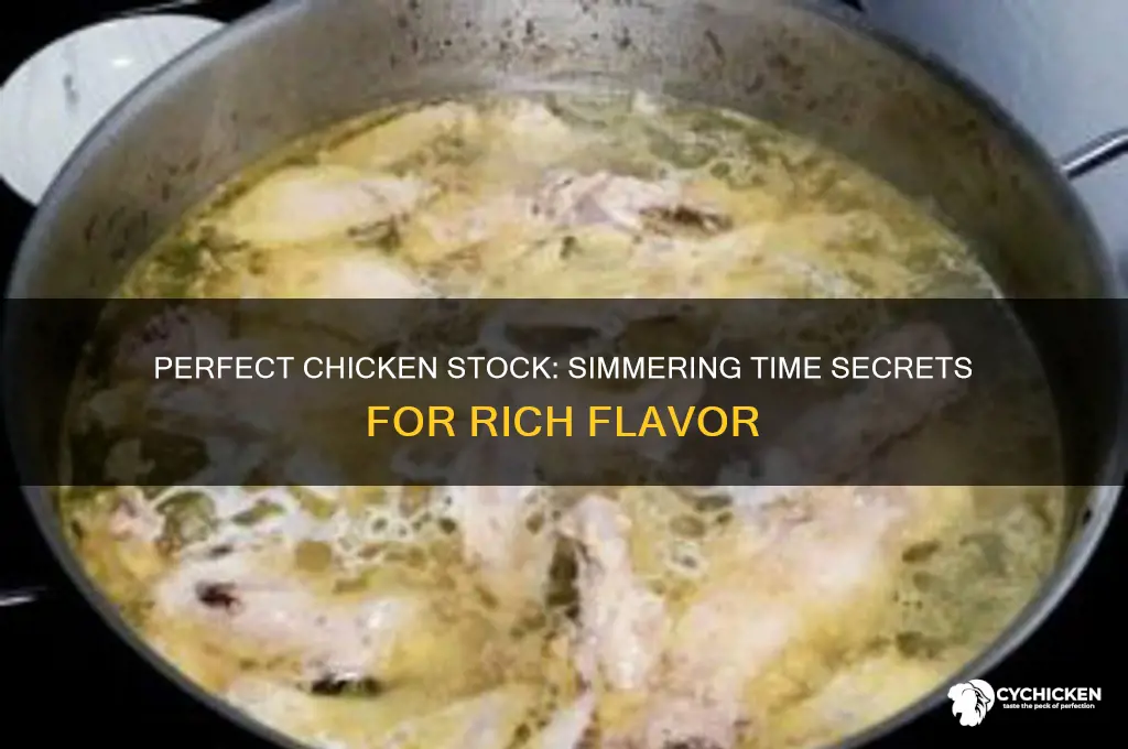 how many hours to simmer chicken stock