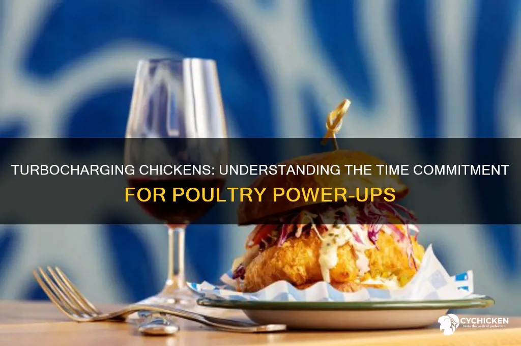 how many hours to turbo a chicken