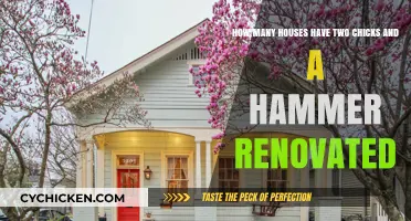 Chicks and Hammer: Their Renovation Journey