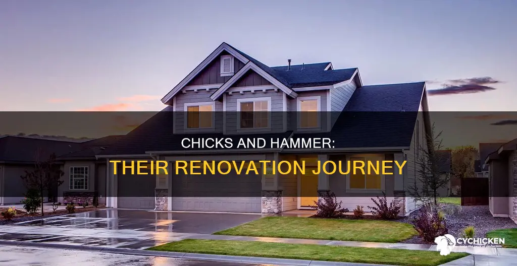 how many houses have two chicks and a hammer renovated