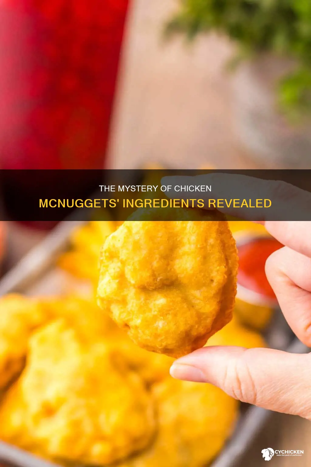 how many ingredients are in mcdonald