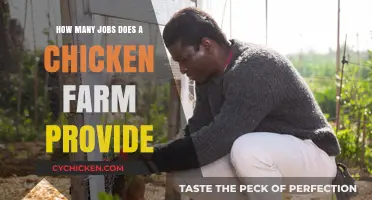 Chicken Farms: Job Opportunities and Economic Impact