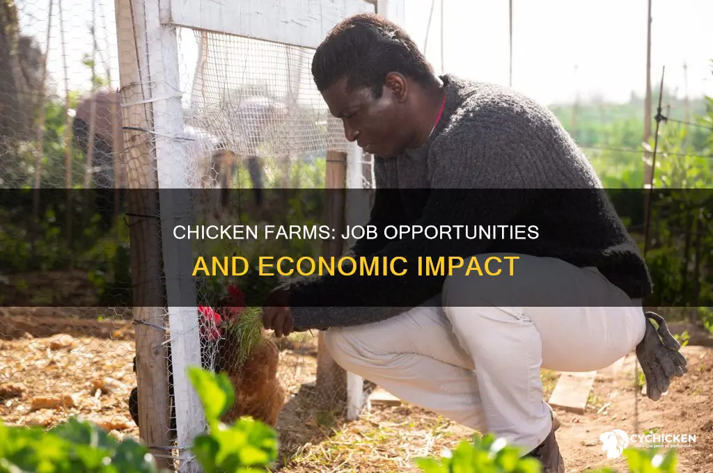 how many jobs does a chicken farm provide
