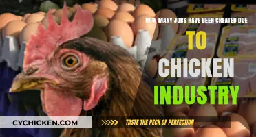 Chicken Industry: A Job-Creating Powerhouse
