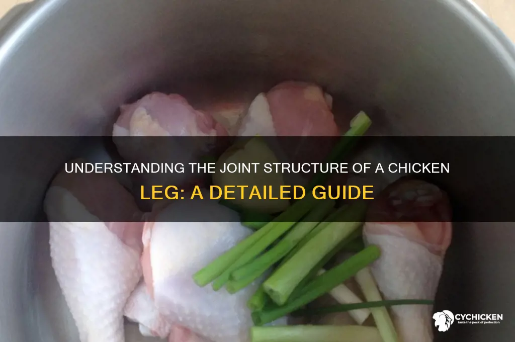 how many joints are a chicken leg