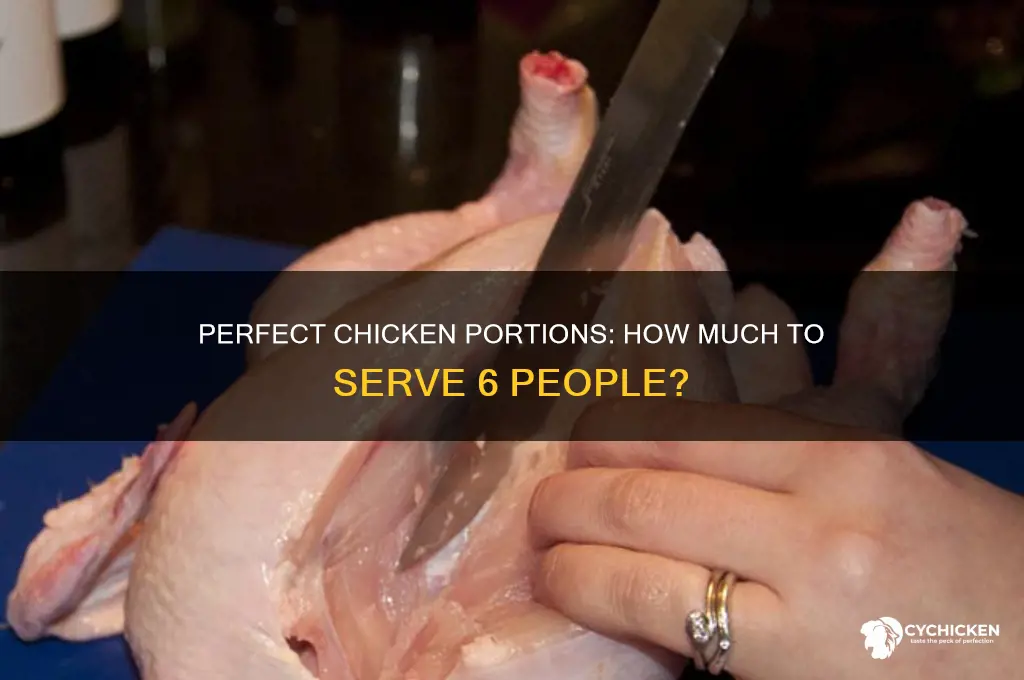how many kg chicken for 6 people
