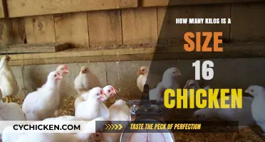Chicken Weight Guide: What's a Size 16 Worth?