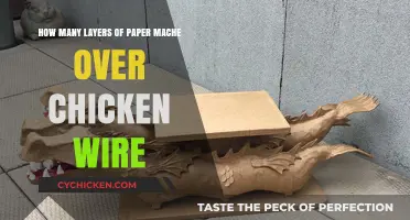 Paper Mache Artistry: Layering for Chicken Wire Perfection