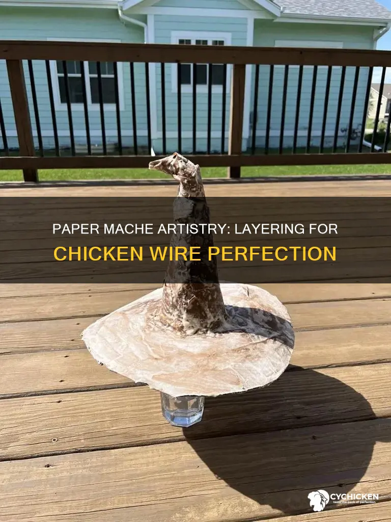how many layers of paper mache over chicken wire