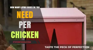 Laying Boxes: How Many for Happy Hens?
