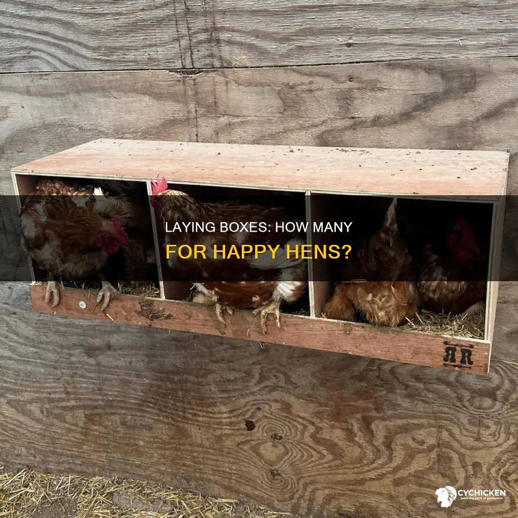 how many laying boxes do you need per chicken
