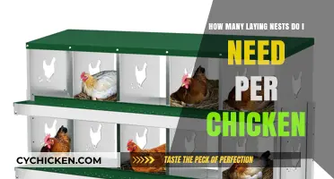Laying Nests: How Many Per Chicken?