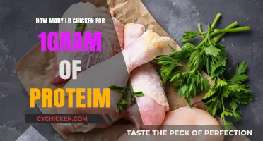 Chicken Protein: How Much to Eat for 1 Gram?