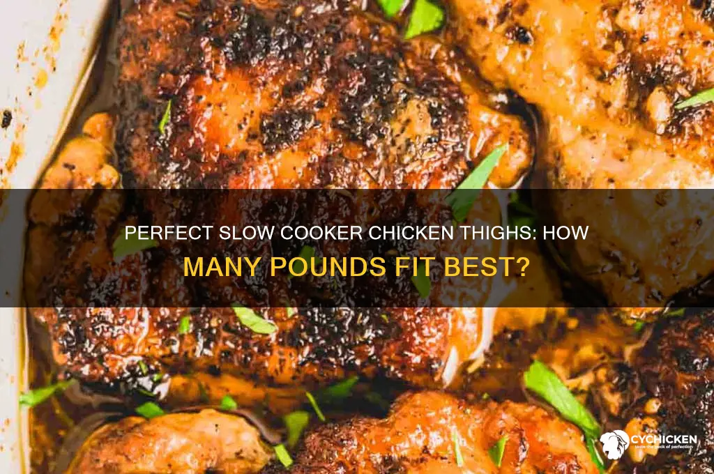 how many lb chicken thighs in a slow cooker