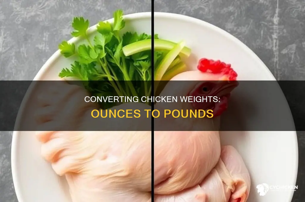 how many lbs is 24 oz of chicken