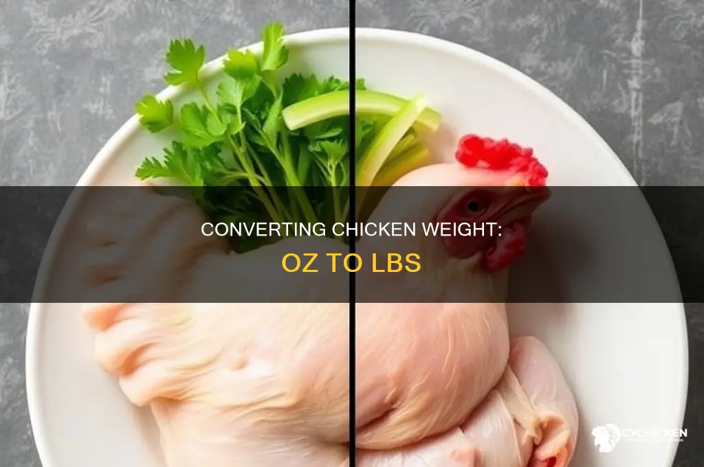 how many lbs is 5 oz of chicken