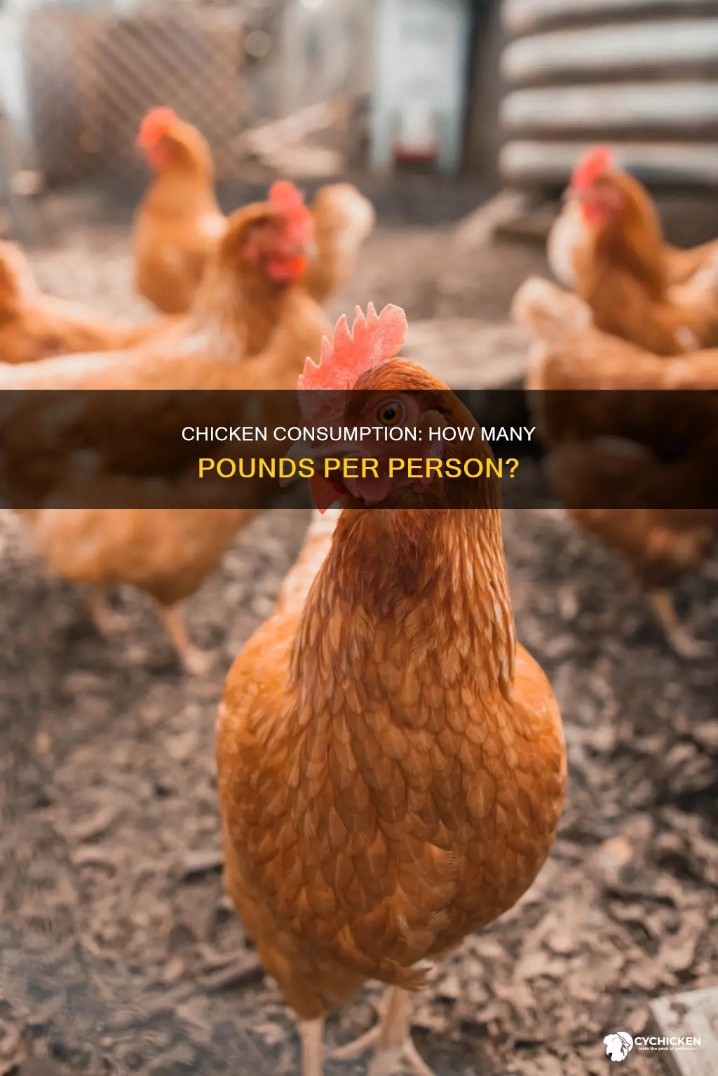 how many lbs of chicken per person per hyear