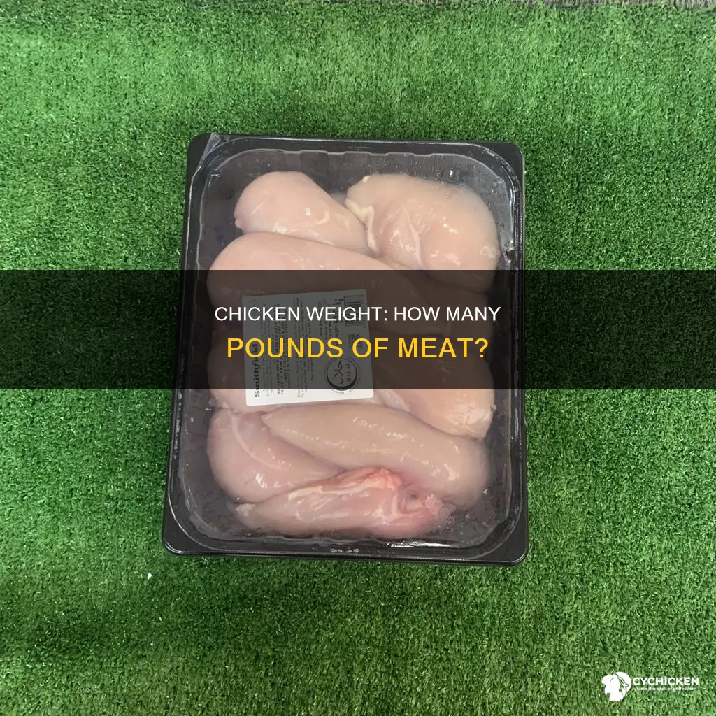 how many lbs of meet in an average chicken