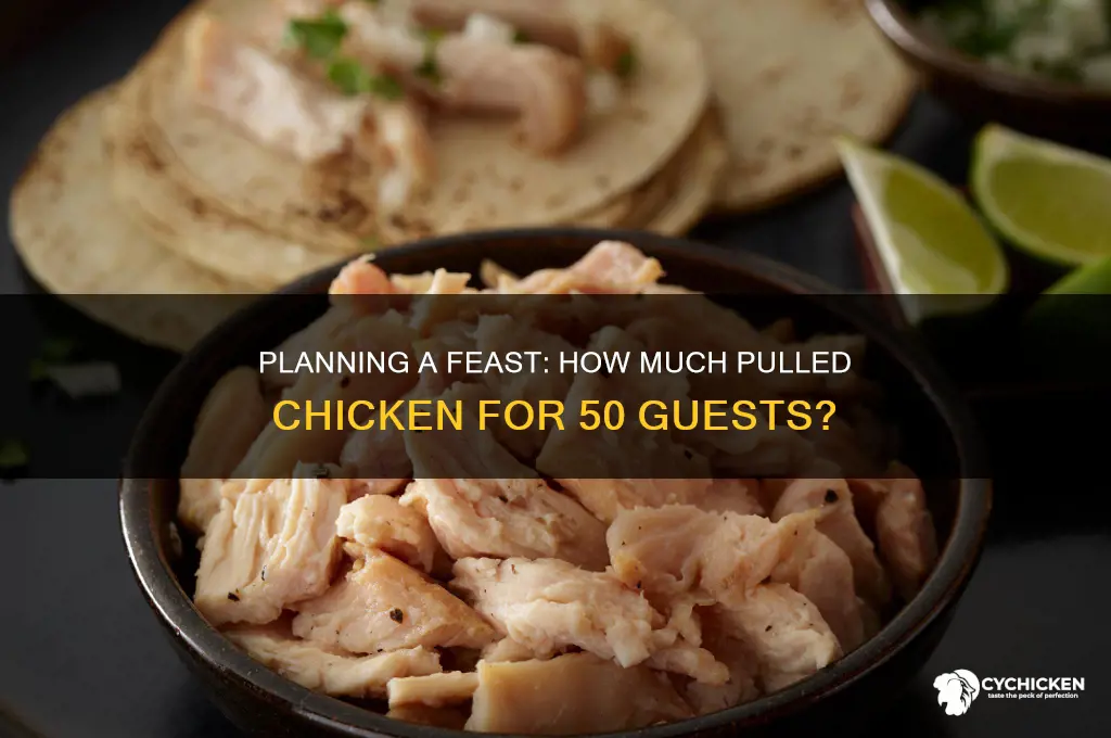 how many lbs pulled chicken for 50