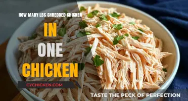 Shocking Amounts: Shredded Chicken Yields from One Bird