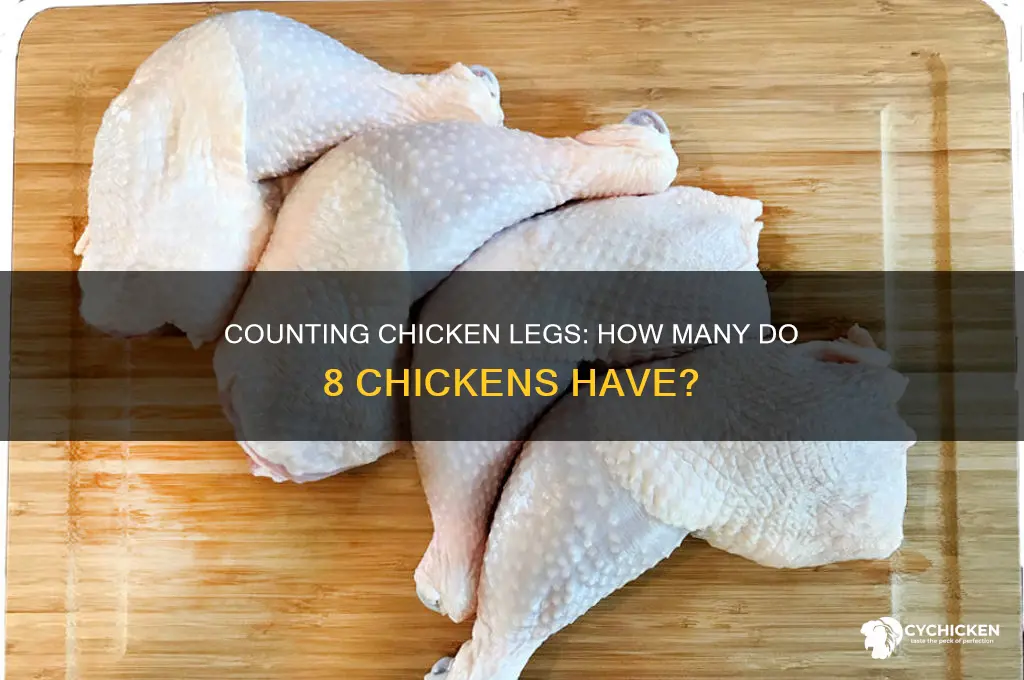 how many legs do 8 chicken have