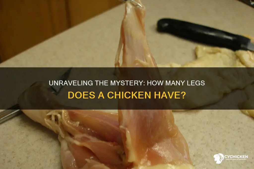 how many legs do a chicken have